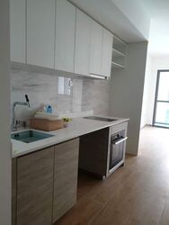 The Alps Residences (D18), Condominium #498540841